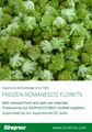 IQF Romanesco Florets,Frozen Romanesco Florets 14