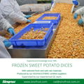 IQF Steamed Sweet Potato Cuts,Frozen Steamed Sweet Potato  Random Cuts 8