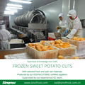IQF Steamed Sweet Potato Cuts,Frozen Steamed Sweet Potato  Random Cuts 12