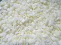 Frozen Onions Dices,IQF Onion Dices,Frozen Diced Onions,IQF Diced Onions