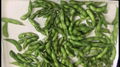 IQF Glazed Green Soybeans,IQF Glazed Edamame,IQF Glazed Soya Beans 16