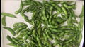 IQF Glazed Green Soybeans,IQF Glazed Edamame,IQF Glazed Soya Beans 18