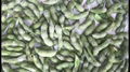 IQF Glazed Green Soybeans,IQF Glazed Edamame,IQF Glazed Soya Beans 7