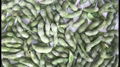 IQF Glazed Green Soybeans,IQF Glazed Edamame,IQF Glazed Soya Beans