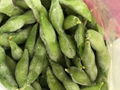 IQF Glazed Green Soybeans,IQF Glazed Edamame,IQF Glazed Soya Beans