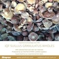 IQF Suillus Granulatus Wholes,IQF Suillus Granulatus Wholes,wild mushrooms
