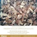 IQF Suillus Granulatus Cubes,Frozen Suillus Granulatus Cubes,wild mushrooms 13