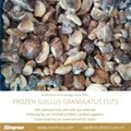 IQF Suillus Granulatus Cubes,Frozen Suillus Granulatus Cubes,wild mushrooms 14