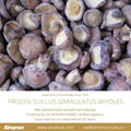 IQF Suillus Granulatus Cubes,Frozen Suillus Granulatus Cubes,wild mushrooms 15