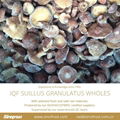 IQF Suillus Granulatus Cubes,Frozen Suillus Granulatus Cubes,wild mushrooms 16
