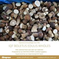 IQF Boletus Edulis Wholes,Frozen Boletus Edulis Wholes,IQF Wild Mushrooms 8