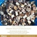 IQF Boletus Edulis Cubes,Frozen Boletus Edulis Cuts,Frozen Wild Mushrooms 5
