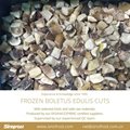 IQF Boletus Edulis Cubes,Frozen Boletus Edulis Cuts,Frozen Wild Mushrooms