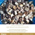 IQF Boletus Edulis Cubes,Frozen Boletus Edulis Cuts,Frozen Wild Mushrooms