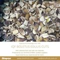 IQF Boletus Edulis Cubes,Frozen Boletus Edulis Cuts,Frozen Wild Mushrooms 15