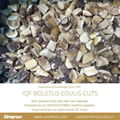 IQF Boletus Edulis Cubes,Frozen Boletus Edulis Cuts,Frozen Wild Mushrooms