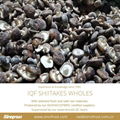 IQF Shiitake Wholes,Frozen Shiitake Wholes,IQF shiitakes 8