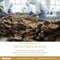 IQF Shiitake Wholes,Frozen Shiitake Wholes,IQF shiitakes 10