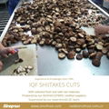 IQF Shiitake Wholes,Frozen Shiitake Wholes,IQF shiitakes 15