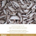 IQF Shiitake Wholes,Frozen Shiitake Wholes,IQF shiitakes 17