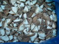 IQF Shiitake Slices,Frozen Shiitake Slices,IQF Sliced Shiitakes 5