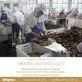 IQF Shiitake Slices,Frozen Shiitake Slices,IQF Sliced Shiitakes 19