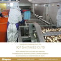 IQF Shiitake Cuts,Frozen Shiitake Cuts,IQF Shiitake Quarter Cuts 6