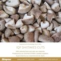 IQF Shiitake Cuts,Frozen Shiitake Cuts,IQF Shiitake Quarter Cuts 11