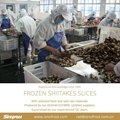 IQF Shiitake Cuts,Frozen Shiitake Cuts,IQF Shiitake Quarter Cuts