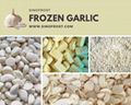 Frozen Garlic Puree,Frozen Garlic Paste,IQF Garlic Puree Tablets 8