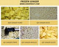 IQF Ginger Strips,Frozen Ginger Strips,Frozen Ginger,slices/wholes/dices/puree 6