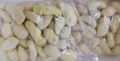 IQF Ginger Strips,Frozen Ginger Strips,Frozen Ginger,slices/wholes/dices/puree 7