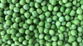 IQF Green Peas,Frozen Green Peas,IQF Frozen Green Peas 14