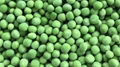 IQF Green Peas,Frozen Green Peas,IQF Frozen Green Peas