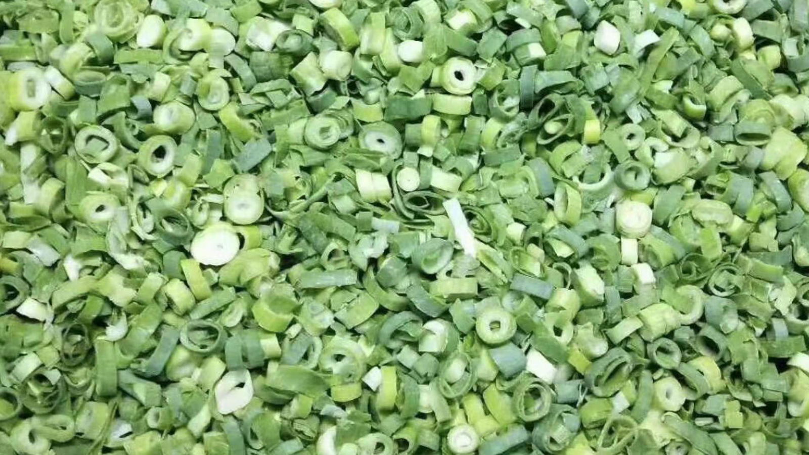 IQF Frozen Spring Onion Cuts,IQF Frozen Green Onions Dices,IQF Chives Dices 3