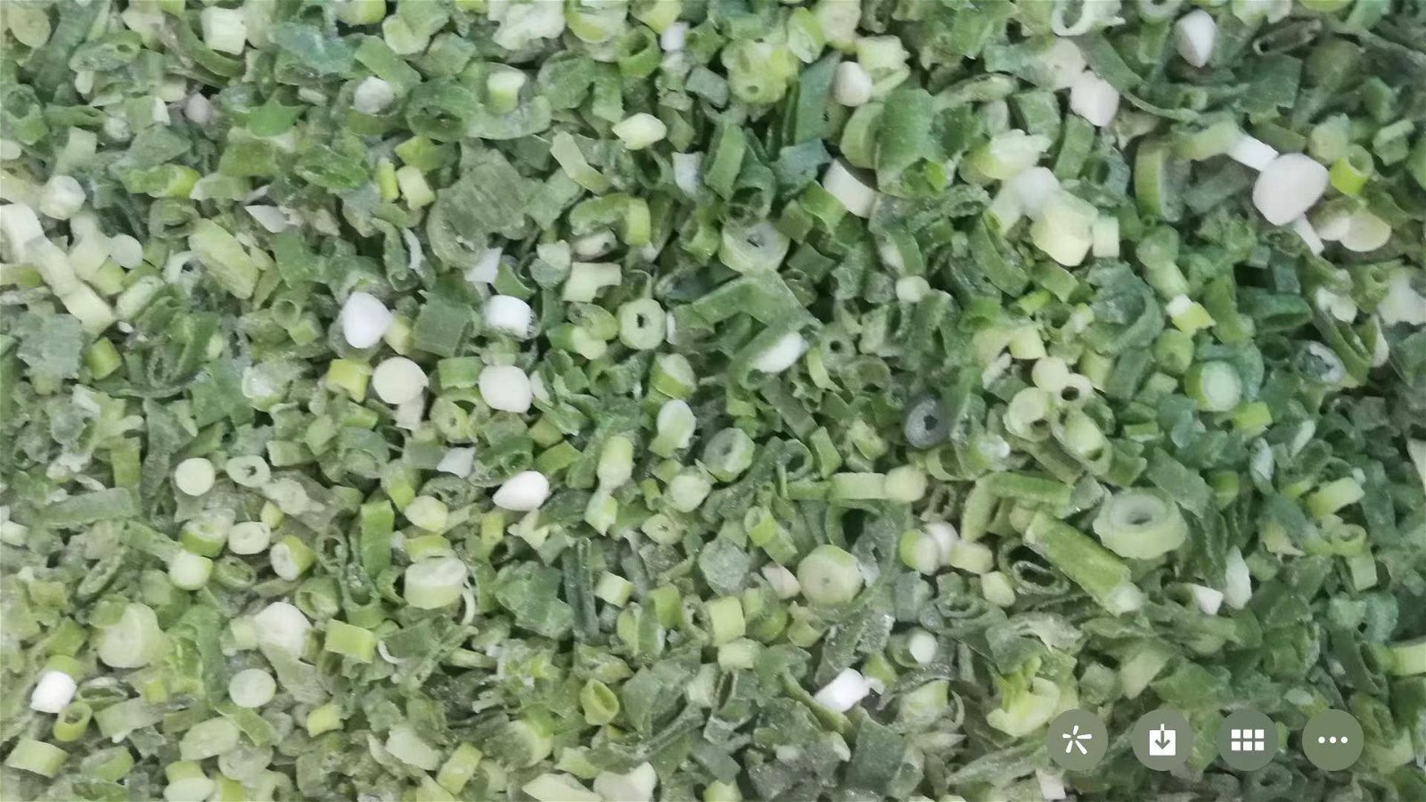 冷凍青蔥丁,速凍青蔥丁 19