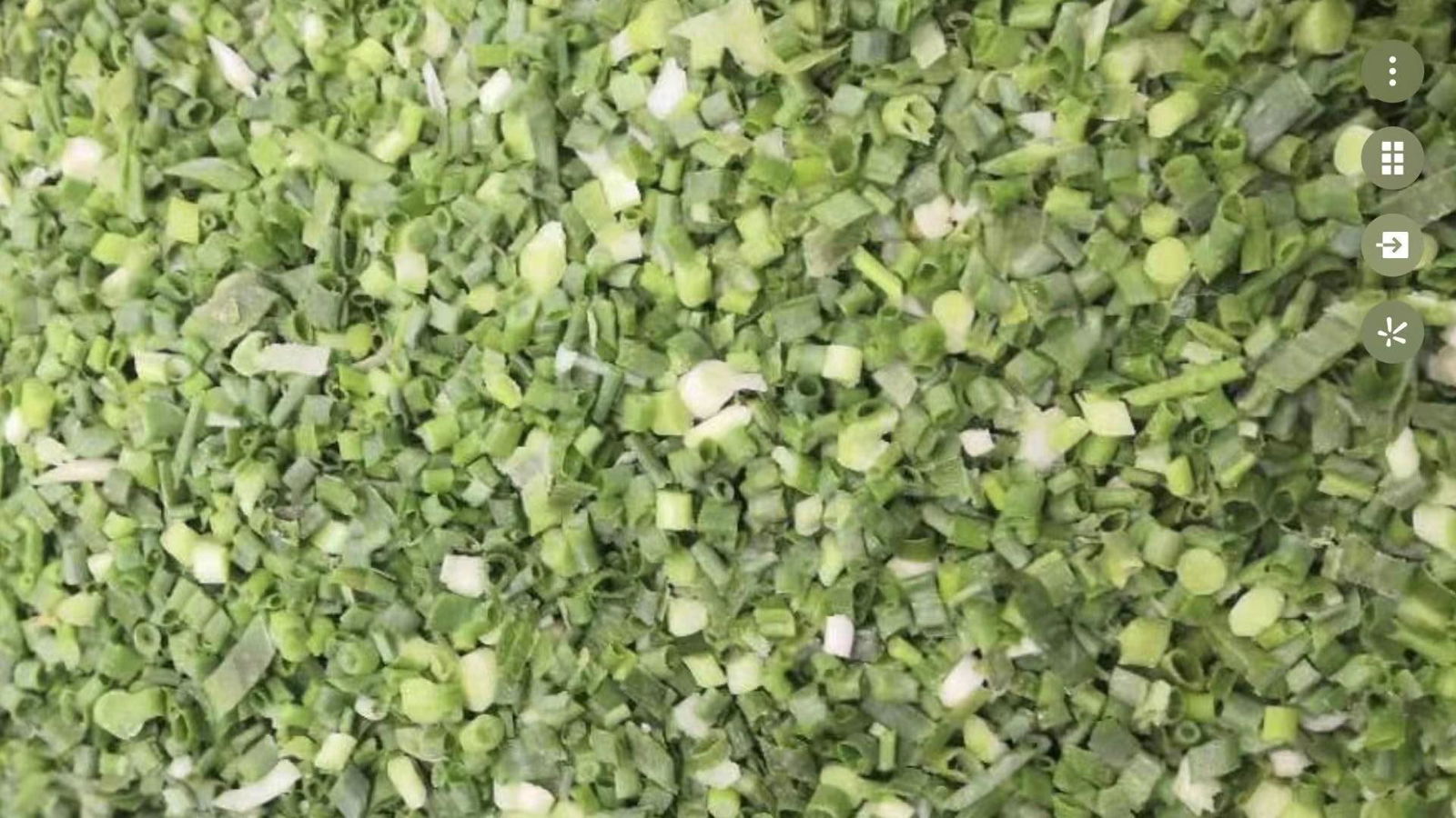 IQF Frozen Spring Onion Cuts,IQF Frozen Green Onions Dices,IQF Chives Dices 5