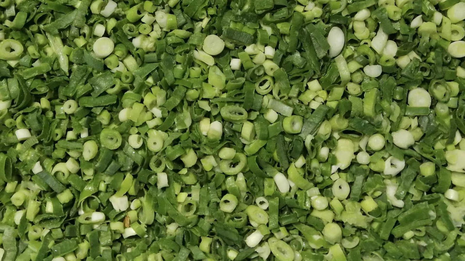 IQF Frozen Spring Onion Cuts,IQF Frozen Green Onions Dices,IQF Chives Dices 2