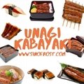 Frozen Roasted Eel,Unagi Kabayaki,Broiled Eel,Prepared Eel,Grilled Eel 6