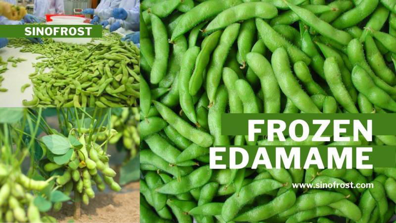 IQF Edamame,Frozen Edamame,IQF Green Soy Beans,Frozen Green Soy Beans 2