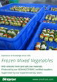 IQF Mixed Vegetables,Frozen Mixed Vegetables,IQF Vegetables Blend 9