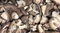 IQF Mixed Mushrooms,Frozen Mixed Mushrooms,Mushrooms Blend,Wild Mushrooms Blend