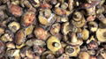 IQF Mixed Mushrooms,Frozen Mixed Mushrooms,Mushrooms Blend,Wild Mushrooms Blend