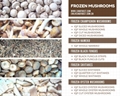 IQF Mixed Mushrooms,Frozen Mixed Mushrooms,Mushrooms Blend,Wild Mushrooms Blend 4