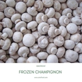 IQF Mixed Mushrooms,Frozen Mixed Mushrooms,Mushrooms Blend,Wild Mushrooms Blend 9