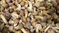 IQF nameko ,Frozen Nameko,IQF Mixed Mushrooms,Frozen Mixed Mushrooms