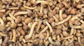 IQF nameko ,Frozen Nameko,IQF Mixed Mushrooms,Frozen Mixed Mushrooms