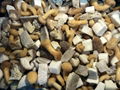 IQF nameko ,Frozen Nameko,IQF Mixed Mushrooms,Frozen Mixed Mushrooms 3