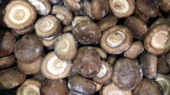 IQF Shiitake Wholes,Frozen Shiitake Wholes,IQF shiitakes