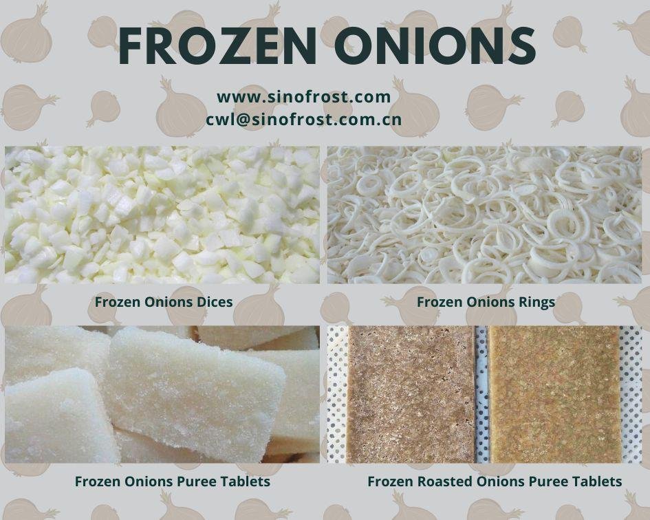 Frozen Onion Puree Tablets,Frozen Onions Paste Tablets,Frozen Onion Puree 5